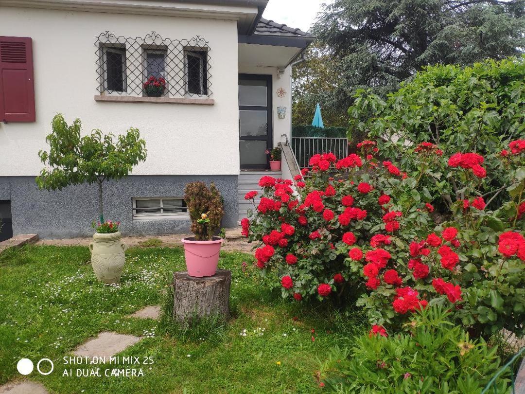 Colmar "Room" Chambre Privee Chez L'Habitant,Parking Voiture Devant La Maison,Garage Moto Et Velo,Petit Dejeuner Εξωτερικό φωτογραφία