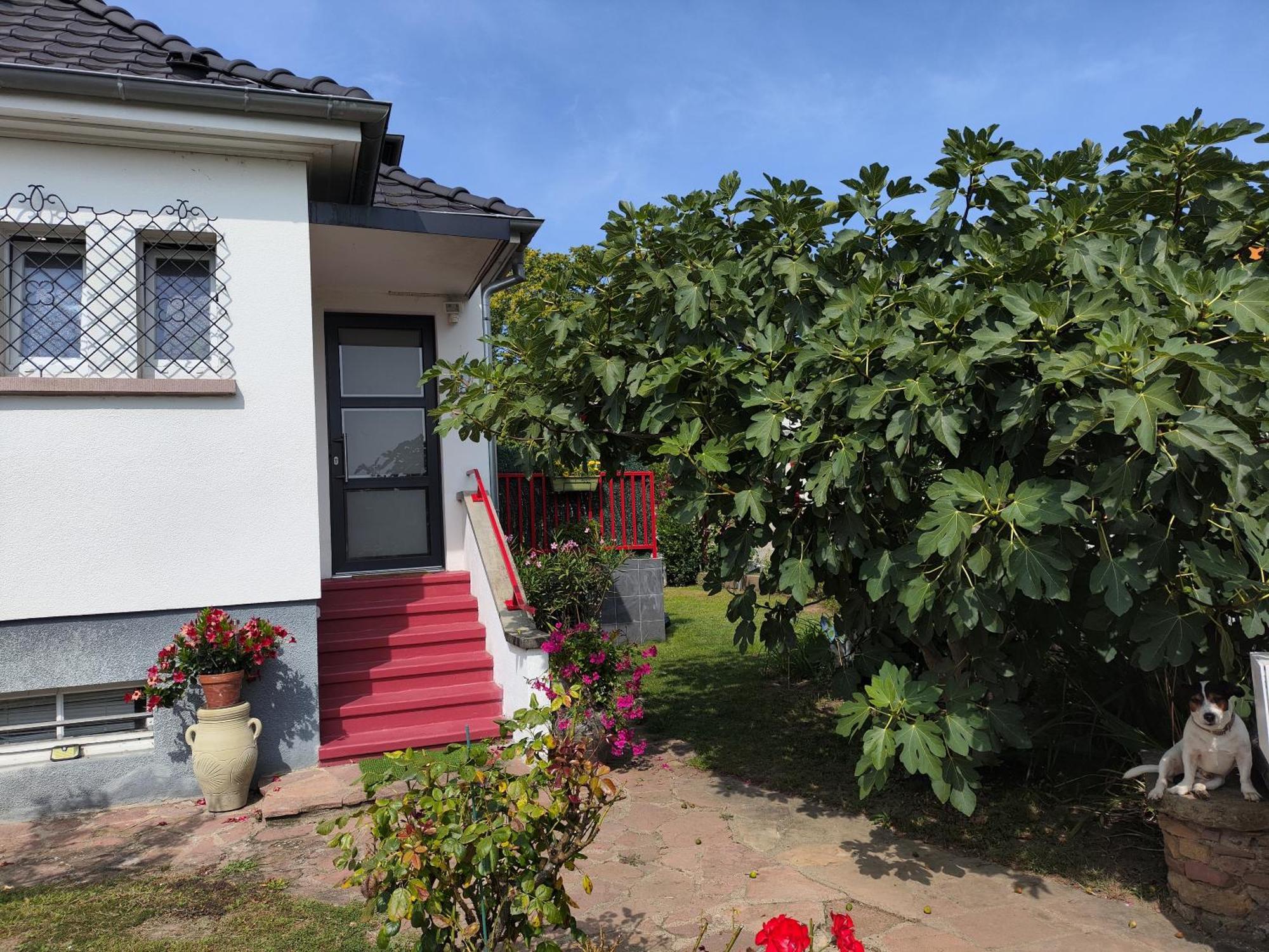 Colmar "Room" Chambre Privee Chez L'Habitant,Parking Voiture Devant La Maison,Garage Moto Et Velo,Petit Dejeuner Εξωτερικό φωτογραφία